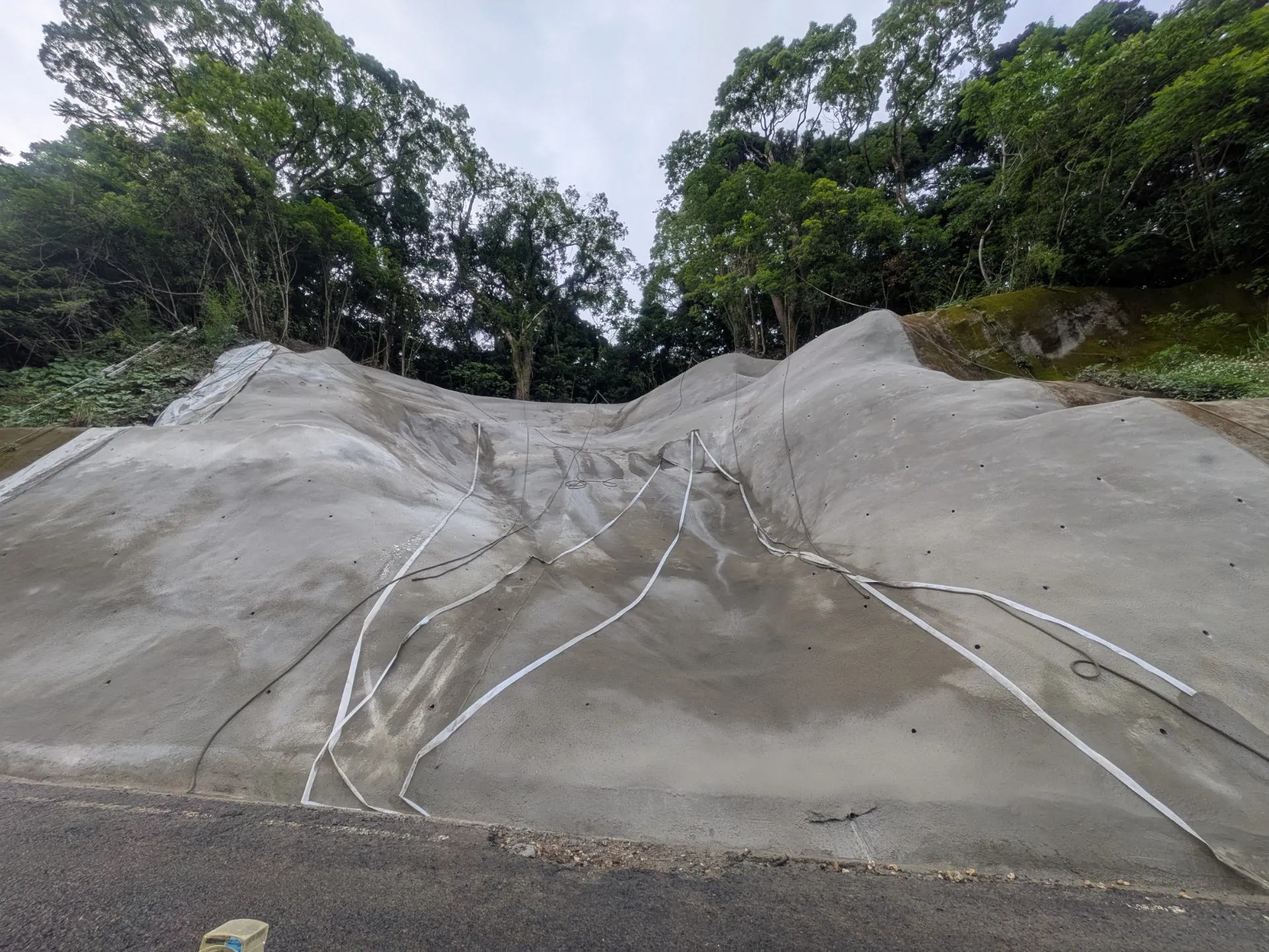 家族・協力会社も参加|ME-TS花見大会を開催しました【鹿児島市吉野公園】
