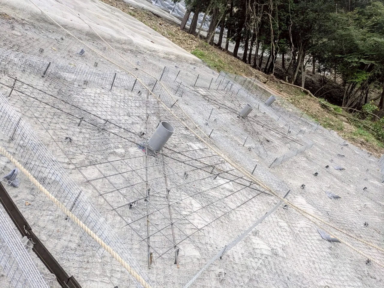 ④型枠設置状況。地山条件に合わせながら精度良く組み上げていく。